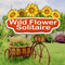 Klicken zum Spielen: Wild Flower Solitaire